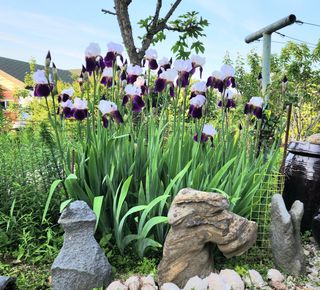 고추건조기부품판매님의 자유주제 · 자유게시판 작성글 사진