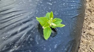 배추6219님의 자유주제 · 자유게시판 작성글 사진