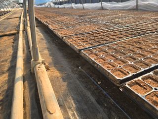 박수열님의 자유주제 · 자유게시판 작성글 사진