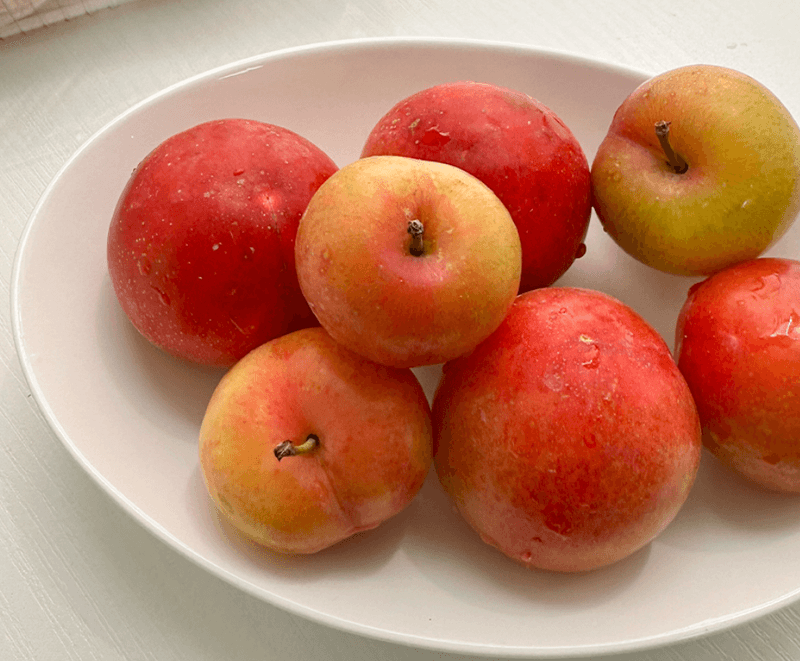 장터 상품 [하우스 자두] 썸네일