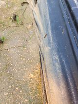 팜모닝 자유주제·자유게시판 게시글 이미지