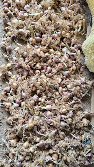 김중언님의 작성글 사진