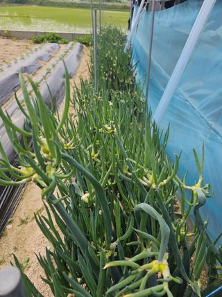 주명숙님의 작성글 사진