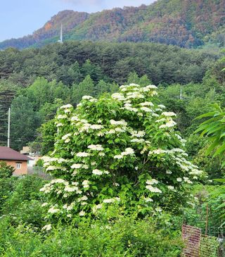 고추건조기부품판매님의 자유주제 · 자유게시판 작성글 사진