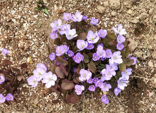 고추건조기부품판매님의 자유주제 · 자유게시판 작성글 사진