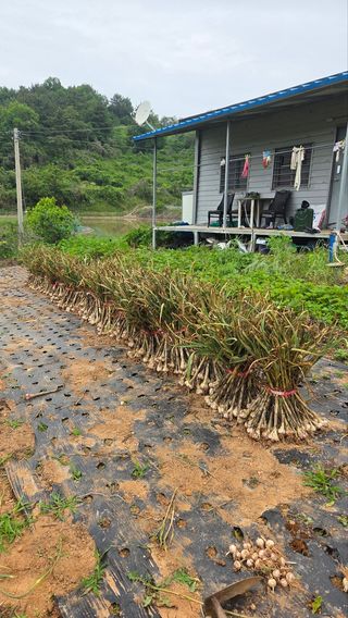 권미현 님의 자유주제 · 자유게시판 작성글 사진