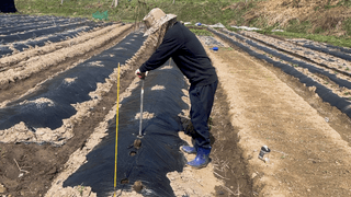 누보농장님의 자유주제 · 자유게시판 작성글 사진