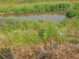 김용채님의 자유주제 · 자유게시판 작성글 사진