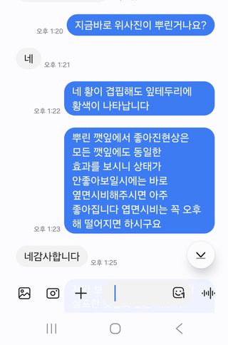 채종원님의 자유주제 · 자유게시판 작성글 사진