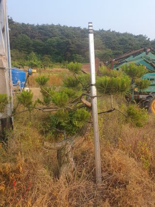 알 수 없음님의 자유주제 · 사진전 작성글 사진