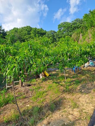 원영국님의 자유주제 · 자유게시판 작성글 사진