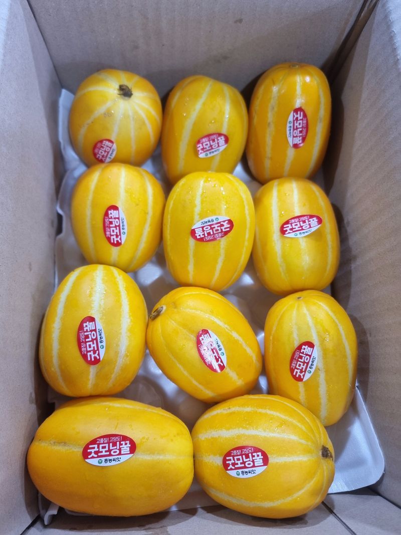 김대현님의 장터 판매 상품 [경북 성주참외 가정용 3kg(할인)] 첨부 사진