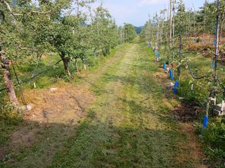 알 수 없음님의 자유주제 · 자유게시판 작성글 사진