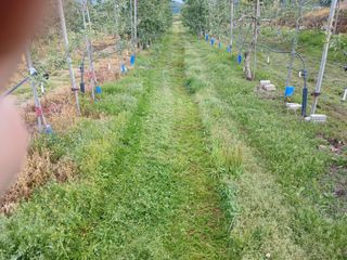 알 수 없음님의 자유주제 · 자유게시판 작성글 사진