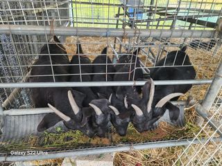 상추6475님의 자유주제 · 자유게시판 작성글 사진