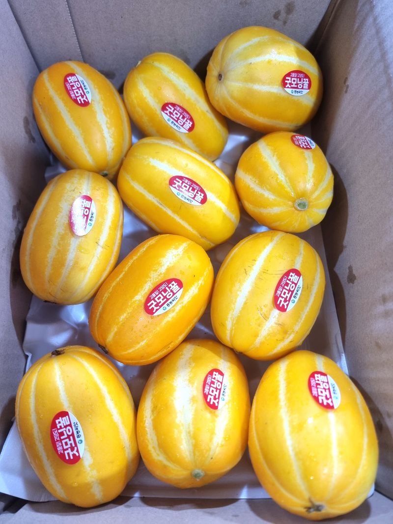 김대현님의 장터 판매 상품 [경북 성주참외 가정용 3kg(할인)] 첨부 사진