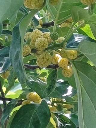 유영옥님의 자유주제 · 자유게시판 작성글 사진