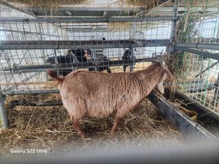 상추6475님의 자유주제 · 자유게시판 작성글 사진