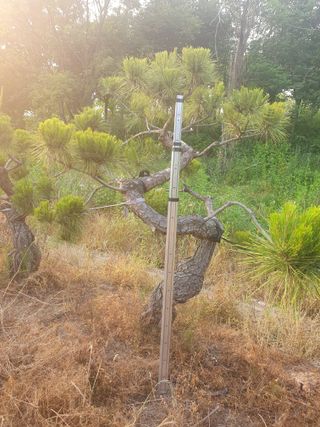 알 수 없음님의 자유주제 · 사진전 작성글 사진