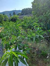 팜모닝 자유주제·자유게시판 게시글 이미지