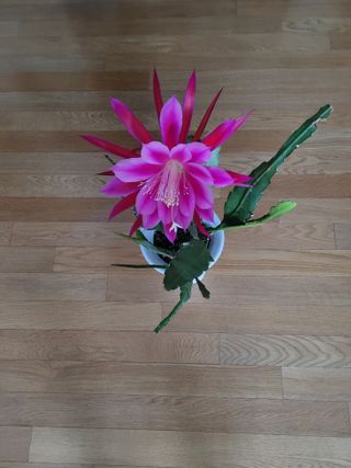 (어울림)님의 자유주제 · 자유게시판 작성글 사진