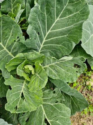 종이박님의 자유주제 · 자유게시판 작성글 사진