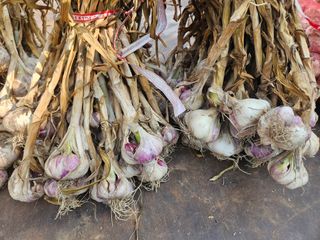 이재관(황토속애)님의 작성글 사진