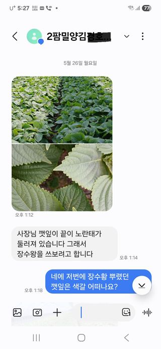 채종원님의 자유주제 · 자유게시판 작성글 사진