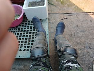 알 수 없음님의 자유주제 · 자유게시판 작성글 사진