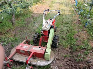 알 수 없음님의 자유주제 · 자유게시판 작성글 사진