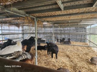 상추6475님의 자유주제 · 자유게시판 작성글 사진