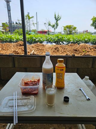 호박12662님의 자유주제 · 자유게시판 작성글 사진