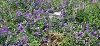 달맛햇복숭아농원님의 자유주제 · 자유게시판 작성글 사진