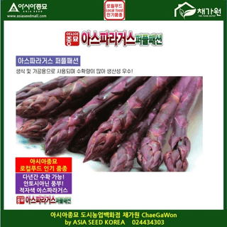 아시아종묘님의 자유주제 · 자유게시판 작성글 사진