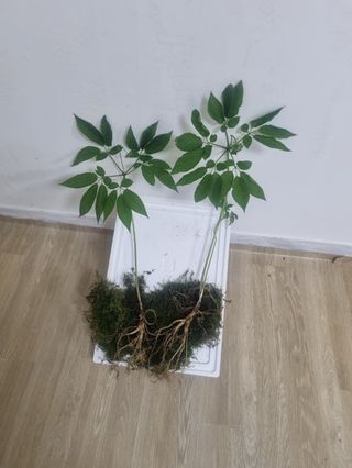 카린님의 자유주제 · 자유게시판 작성글 사진