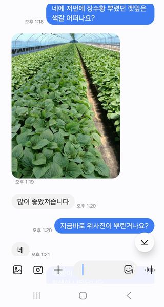 채종원님의 자유주제 · 자유게시판 작성글 사진