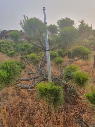 알 수 없음님의 자유주제 · 사진전 작성글 사진