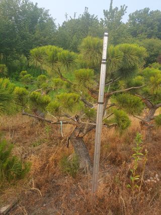 알 수 없음님의 자유주제 · 사진전 작성글 사진