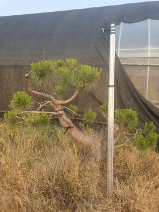 알 수 없음님의 자유주제 · 사진전 작성글 사진