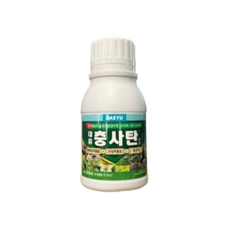 이정현님의 자유주제 · 자유게시판 작성글 사진