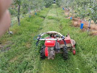 알 수 없음님의 자유주제 · 자유게시판 작성글 사진