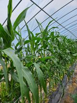 팜모닝 자유주제·자유게시판 게시글 이미지