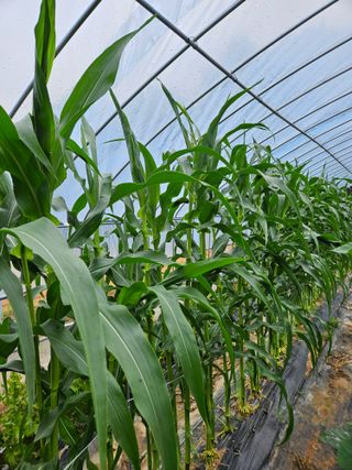 신신기루님의 자유주제 · 자유게시판 작성글 사진