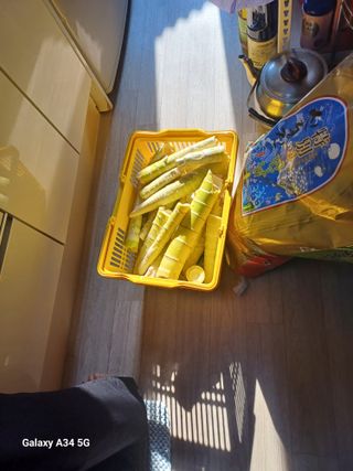 홍순오님의 자유주제 · 자유게시판 작성글 사진