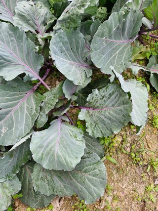 종이박님의 자유주제 · 자유게시판 작성글 사진