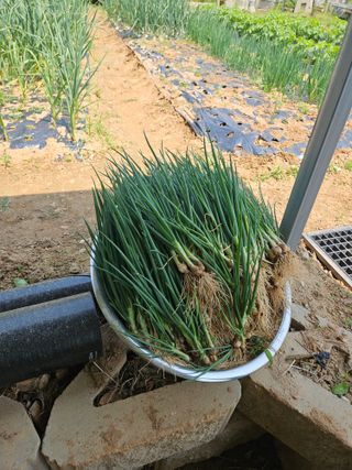 호박12662님의 자유주제 · 자유게시판 작성글 사진