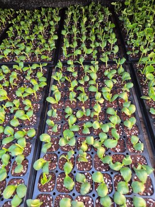 김연숙님의 자유주제 · 자유게시판 작성글 사진