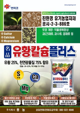 엔피코뉴스님의 자유주제 · 자유게시판 작성글 사진