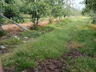 알 수 없음님의 자유주제 · 자유게시판 작성글 사진