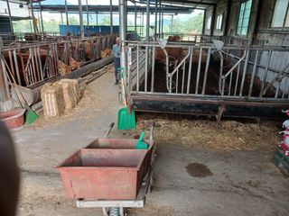 알 수 없음님의 자유주제 · 자유게시판 작성글 사진